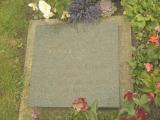 image of grave number 387104